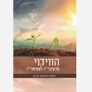 הווידוי