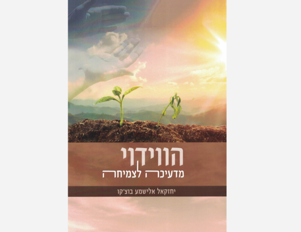 הווידוי